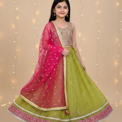 Dupion Silk Embroidered Choli and Organza Lehnga