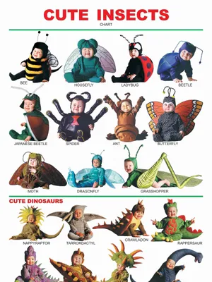 Cute Insects