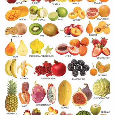 Fruits (All in One)