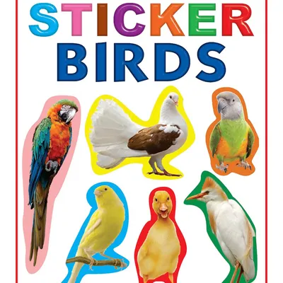 Play With Sticker - Birds