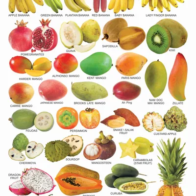 Fruit Chart - 5