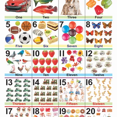 Numbers 1-20