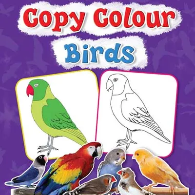 Copy Colour - Birds