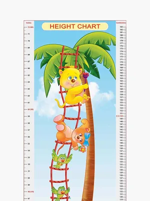 Height Chart - 6