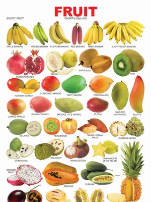 Fruit Chart - 5