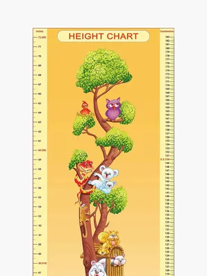 Height Chart - 2