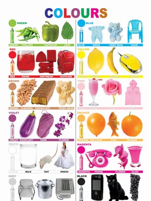 Colours