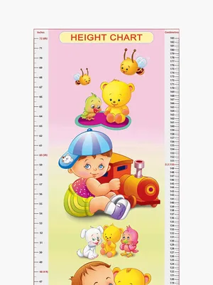 Height Chart - 5