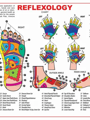 Reflexology