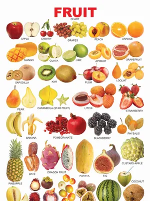 Fruits (All in One)