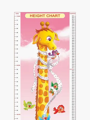 Height Chart - 3