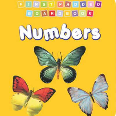 First Padded Board Book - Numbers