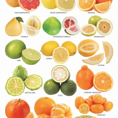 Fruit Chart - 3