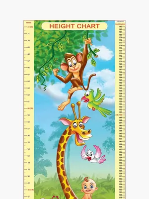 Height Chart - 1