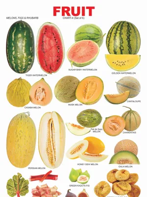 Fruit Chart - 4