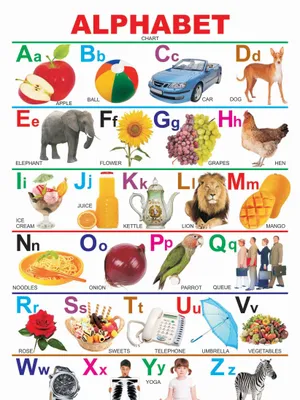 Alphabet