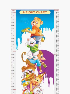 Height Chart - 4