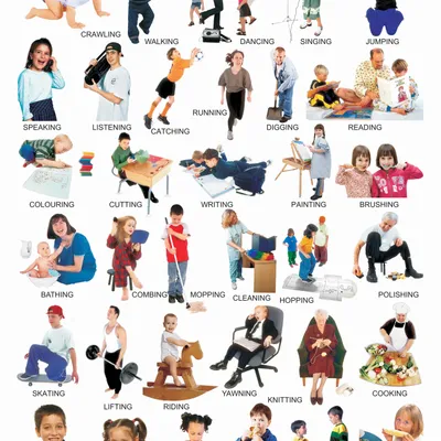 Action Words