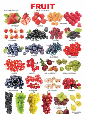 Fruit Chart - 2