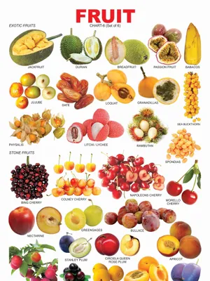 Fruit Chart - 6