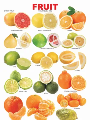 Fruit Chart - 3