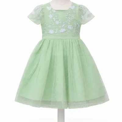 Girls Mint Green  Embroidered Net Dress