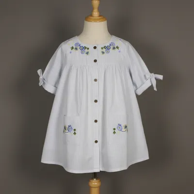 Light Blue Striped Cotton Dress – Embroidered Button-Down Frock