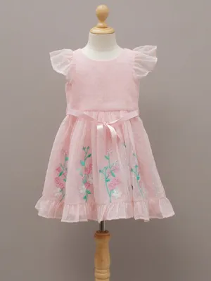 Girls’ Pink Embroidered Organza Frock