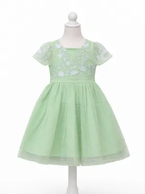 Girls Mint Green Embroidered Net Dress