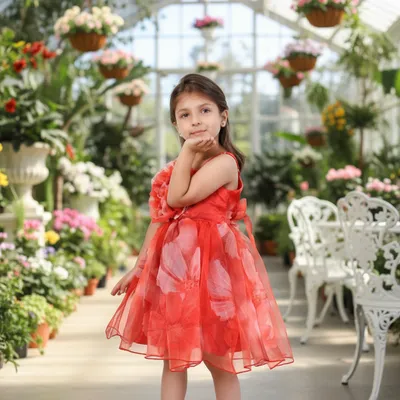 Girls Red Organza Floral Print Birthday Party Dress