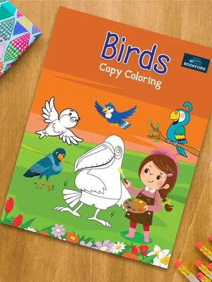 Birds Copy Coloring Books For Kids