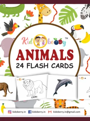 Animal Flash Cards For Kids