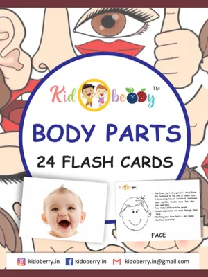 Body Parts Flash Cards For Kids