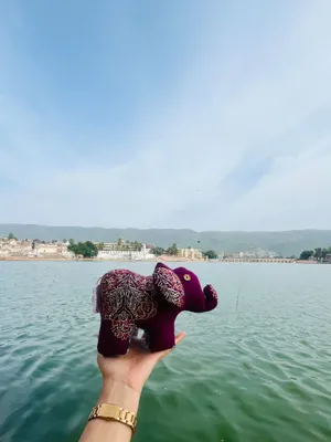 Ella the Elephant