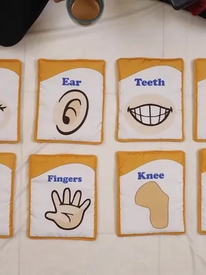 Flash Cards - My Family / Parts of Body (10)
