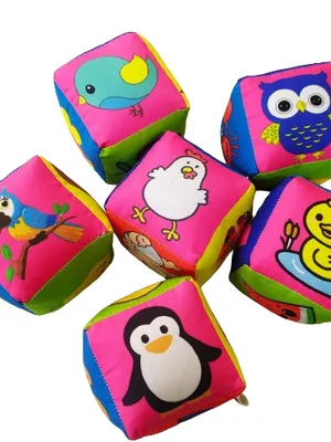 Picture Cubes (Set of 6)