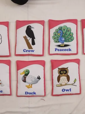Flash Cards - Birds (10)
