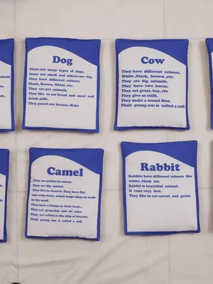 Flash Cards - Domestic Animals(10)