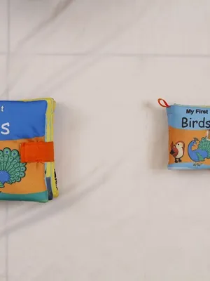 CLoth Book - Birds