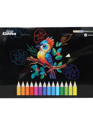 Smily Kiddos 48 Color Pencils Set in Tin Box - Premium Art Supplies for Kids