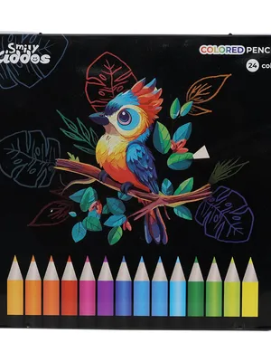 Smily Kiddos 24 Color Pencils Set in Tin Box
