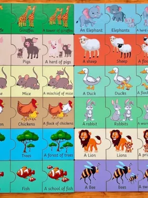 Collective Nouns - 3 Piece Puzzle