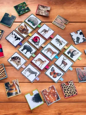 Animal Skin Pattern Matching Puzzle.