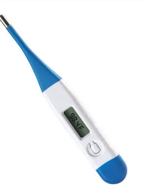Adore Digital Thermometer with Beep Alert - Blue