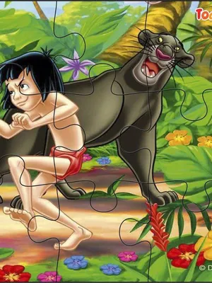 Todfod 6-in-1 Wooden Jigsaw Puzzle Set for Kids | The Jungle Book Mowgli | 54 Pieces | Educational & Fun | Safe & Non-Toxic