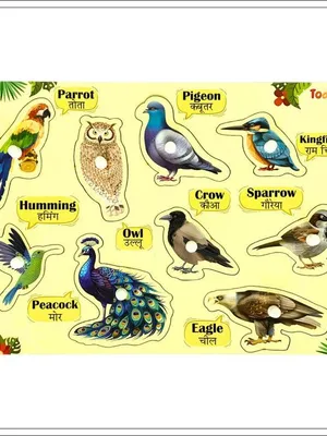 Todfod Wooden Birds Puzzles for Kids | Educational Toy for The Kids Age 3 and Above| Boost Memory Skills