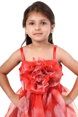 Girls Red Organza Floral Print Birthday Party Dress