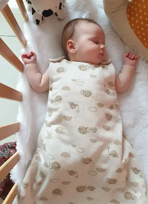 Quilted Sleeping Bags- Little Elly