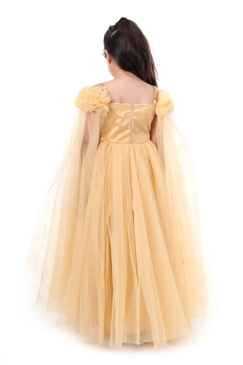 Back View