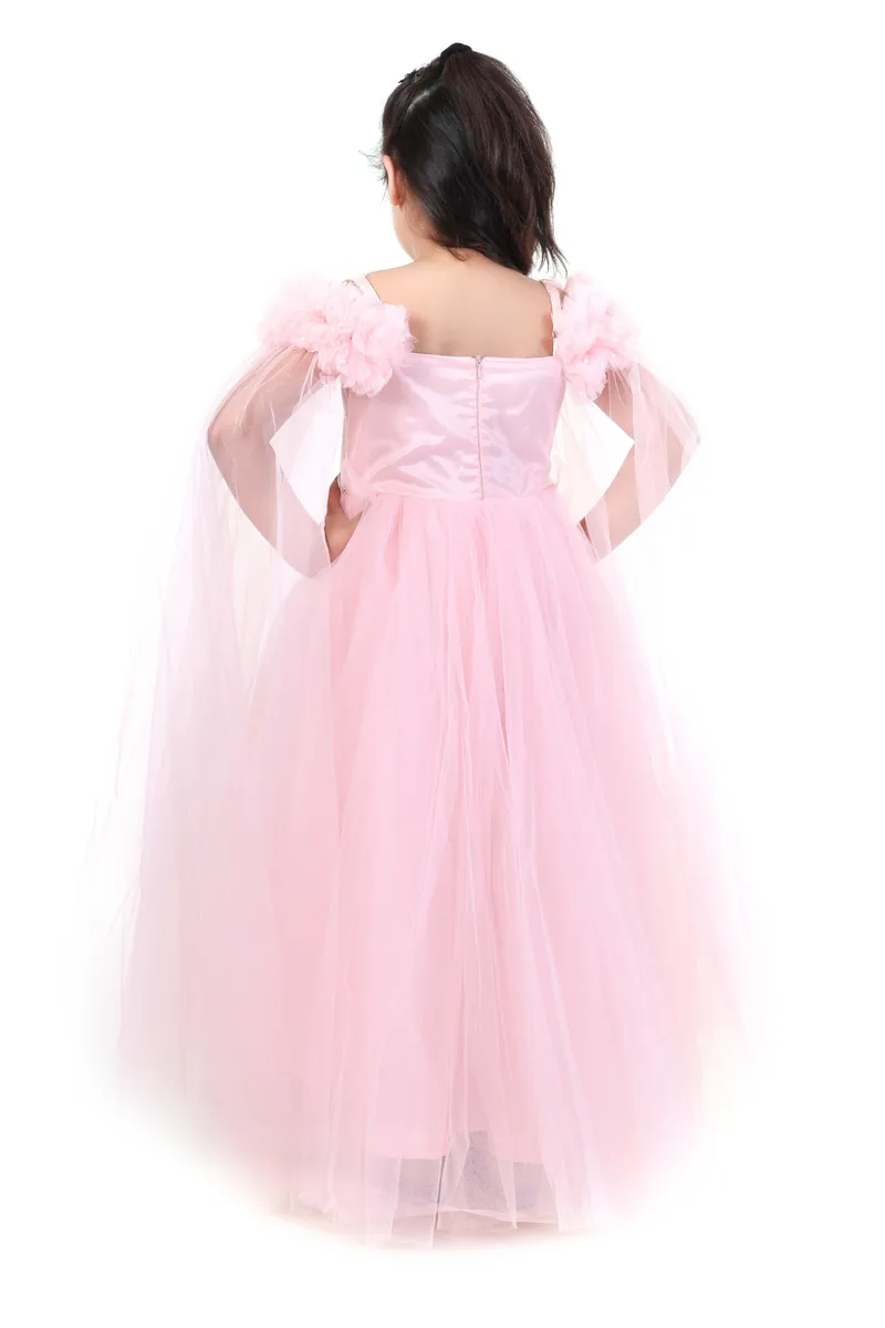 Back View